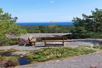4 Personen Ferienhaus in Risør