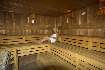 Luxuriöse Ferienwohnung mit Sauna, 1,7 km vom...