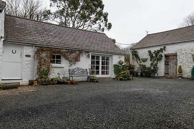 Deluxe Ferienhaus in Ceredigion mit Garten