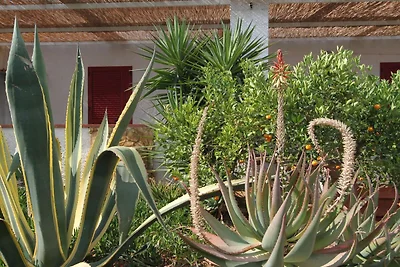 Wohnung in Sizilien nahe Sandstrand