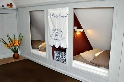 Huisje met rieten dak Noord-Friesland