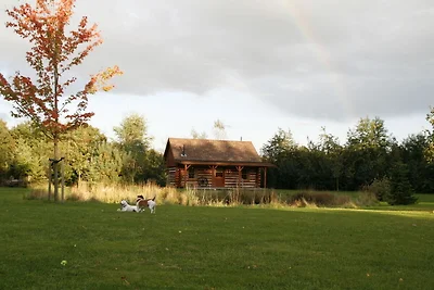 Cabina americana situata nell'Overijssel...