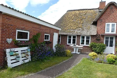La casa frisona della nonna Anna