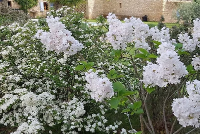 Mazet des Moineaux
