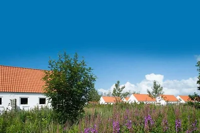 4 sterren vakantie huis in Skagen