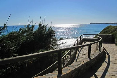 El Cernícalo - El Damasco