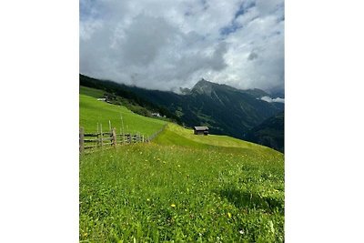 Appart Zell Comfortabele vakantiewoning