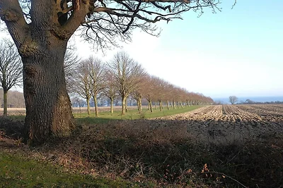 4 Sterne Ferienhaus in Juelsminde-By Traum