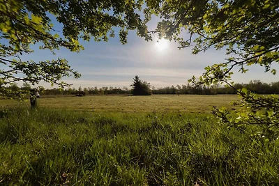 Ferienhaus mit Sauna in Drents-Friese Wold