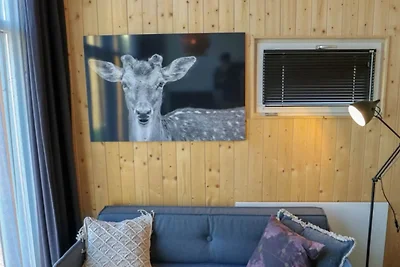 Tiny House op vakantiepark