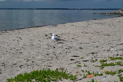 Stilvolle Strandvilla auf Ven-By Traum