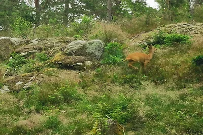 4 Personen Ferienhaus in Brålanda