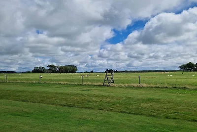 3 persoons vakantie huis in FALKENBERG-By...
