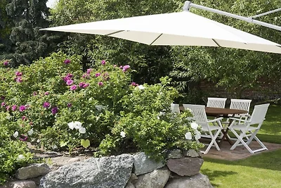 Malvengarten-Usedom