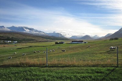 Chalet, Akureyri
