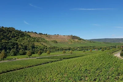 Auf dem  Weingut Johanneshof