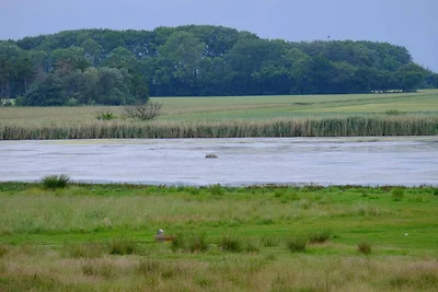 12 Personen Ferienhaus in Idestrup-By Traum