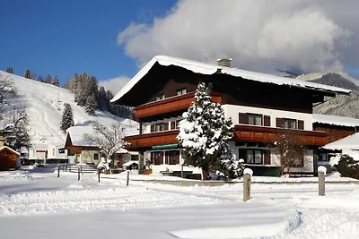 Appartement an der Skipiste in Maishofen