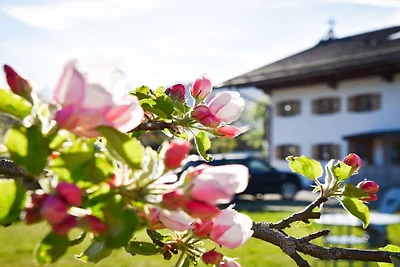 Stadlsuite am Moarhof