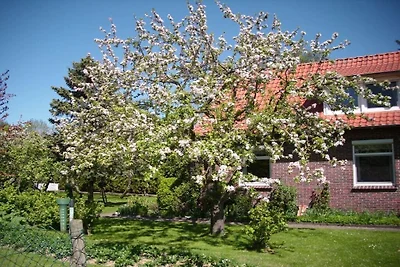 Ferienwohnung mit 1 Schlafzimmer