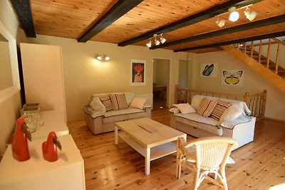 Geräumiges Ferienhaus in Kopalino