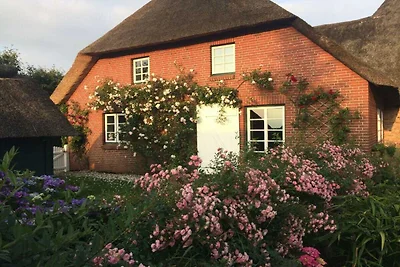 Vakantiehuis in Midlum met zwembad