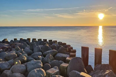 Ferienhaus für 6 Personen in einem Ferienpark