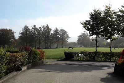 Vakantieappartement in Monschau met barbecue
