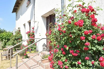 Ferienwohnung in Strandnähe und Rerik