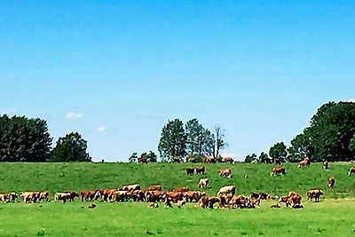 6 Personen Ferienhaus in LOFTAHAMMAR