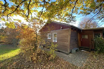 Eifelcottage Zaunkönig