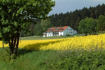 Comfort Appartamenti Zum Hackelstein