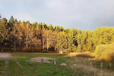 8 Personen Ferienhaus in Løgstør-By Traum