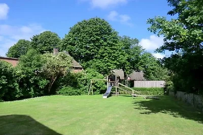 Ferienhaus in Borgsum mit Schwimmbecken