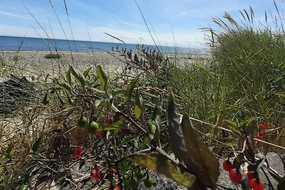 6 Personen Ferienhaus in Hals-By Traum