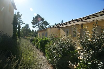 Wunderschöne Wohnung in Montauroux mit Pool