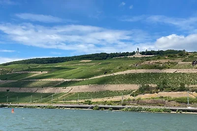 Ruby - Weingut werk2