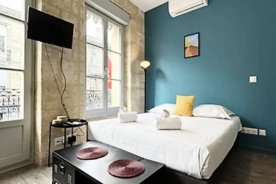 Super Appartement Clim Et Pierre Bordelaise