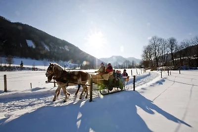 Chalet in Stadl an der Mur nahe Skipisten