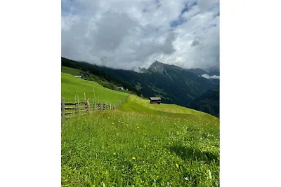 Ferienwohnung in Zellbergeben mit Balkon