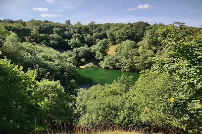 8 persone case ad Gjern-By Traum