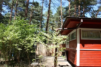 Haus am Kolberg Rifugio moderno