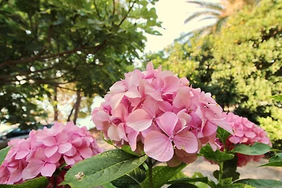 Apartment Kim- Two Bedroom Apartment with Ter...