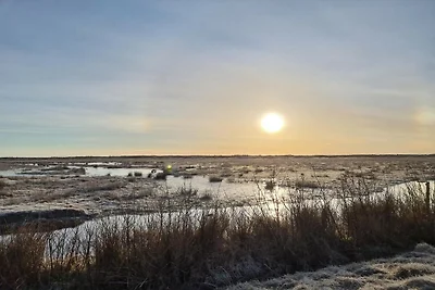 4 Sterne Ferienhaus in Brovst