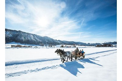 Ferienwohnung mit Skiraum und Sauna in...