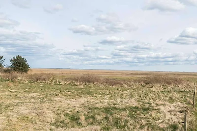 4 Personen Ferienhaus in Fanø