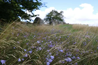 6 Personen vakantie huis in Grevinge-By Traum