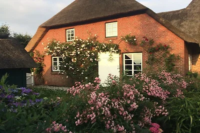 Ferienhaus in Midlum mit Schwimmbecken