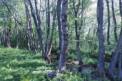Vrijstaand huisje in plattelandsdorp