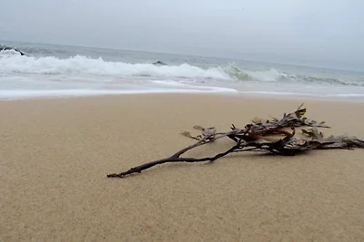 5 sterren vakantie huis in Gilleleje